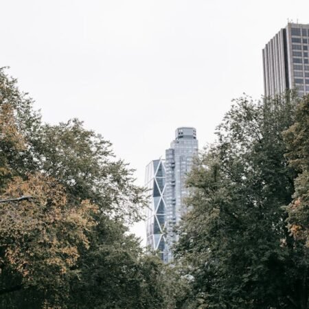 Real Estate Investing in the USA: Simple Strategies for Success